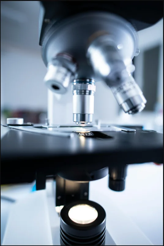 Educational Guide to Research-Based Wellness Information