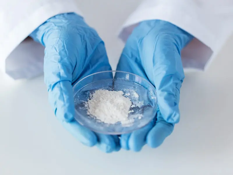 Gloved hands holding a dish of white powder